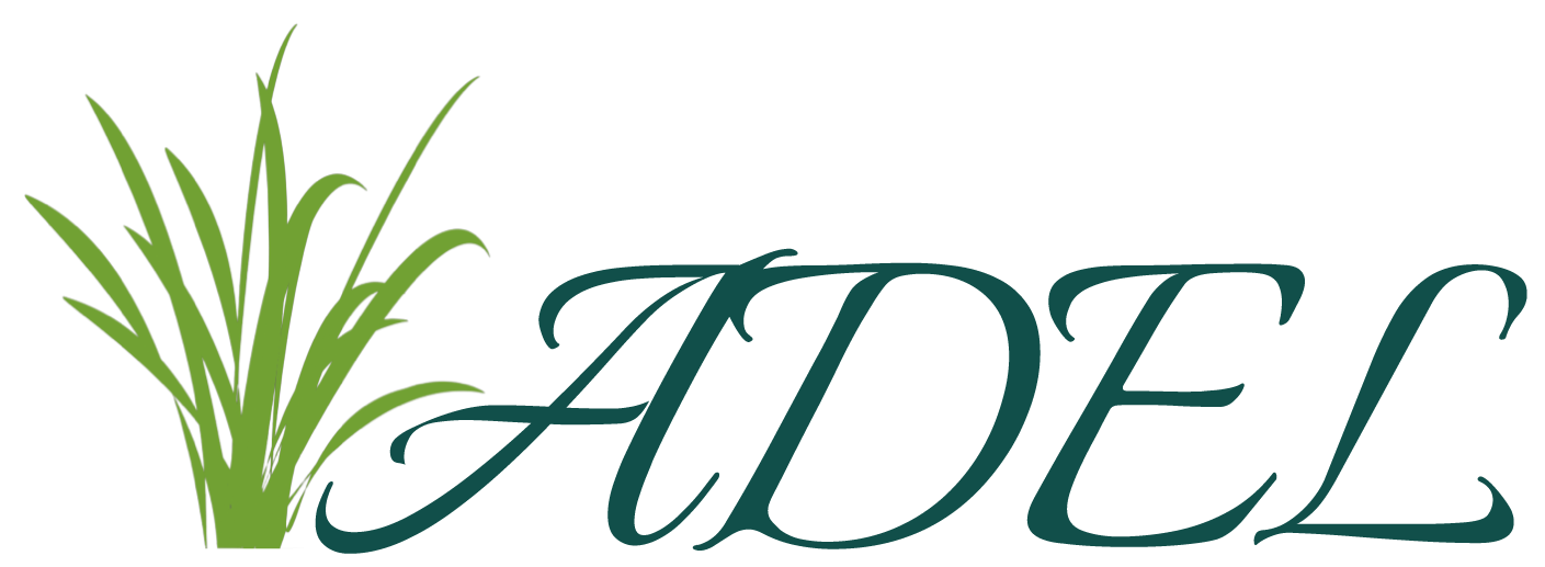 ADEL - logo