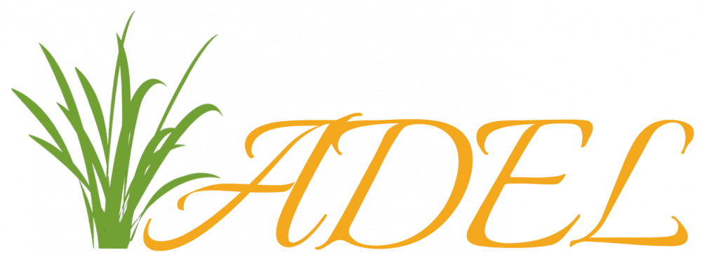 logo3.png