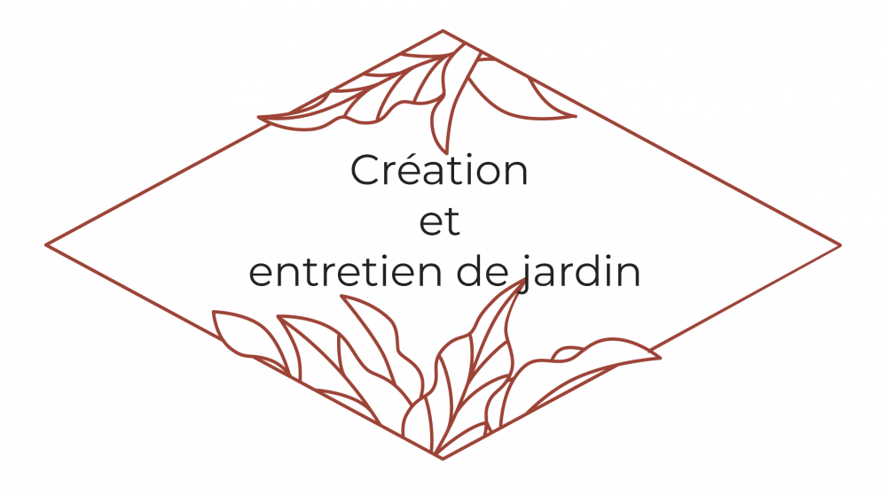 activité-ADEL.png