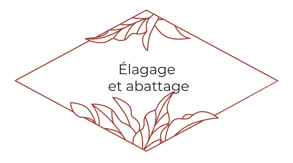 activité-élagage.png